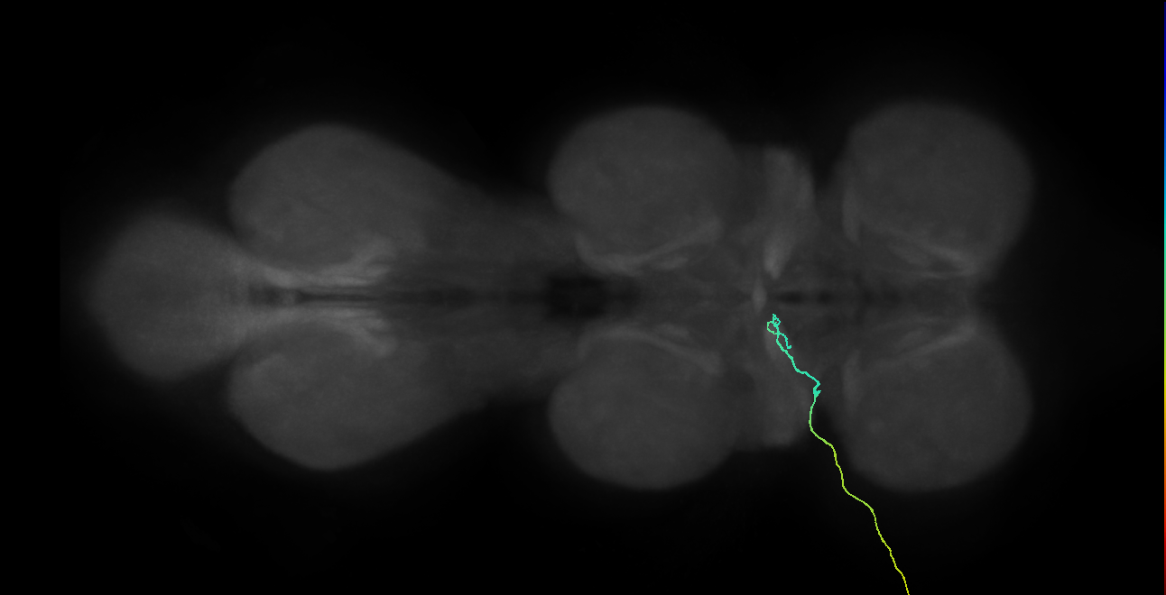 SNch02_ADMN_L (MANC:41533)