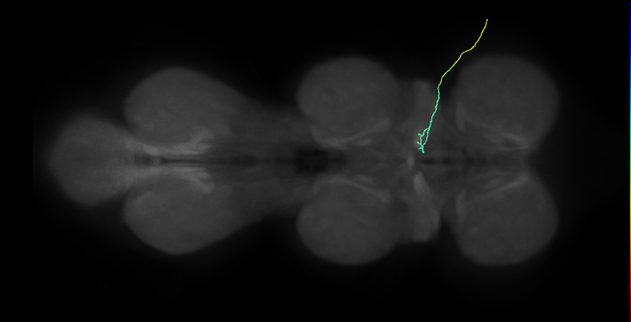 SNch02_ADMN_R (MANC:42413)