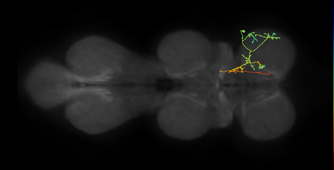 IN21A045_T1_R (MANC:44845)