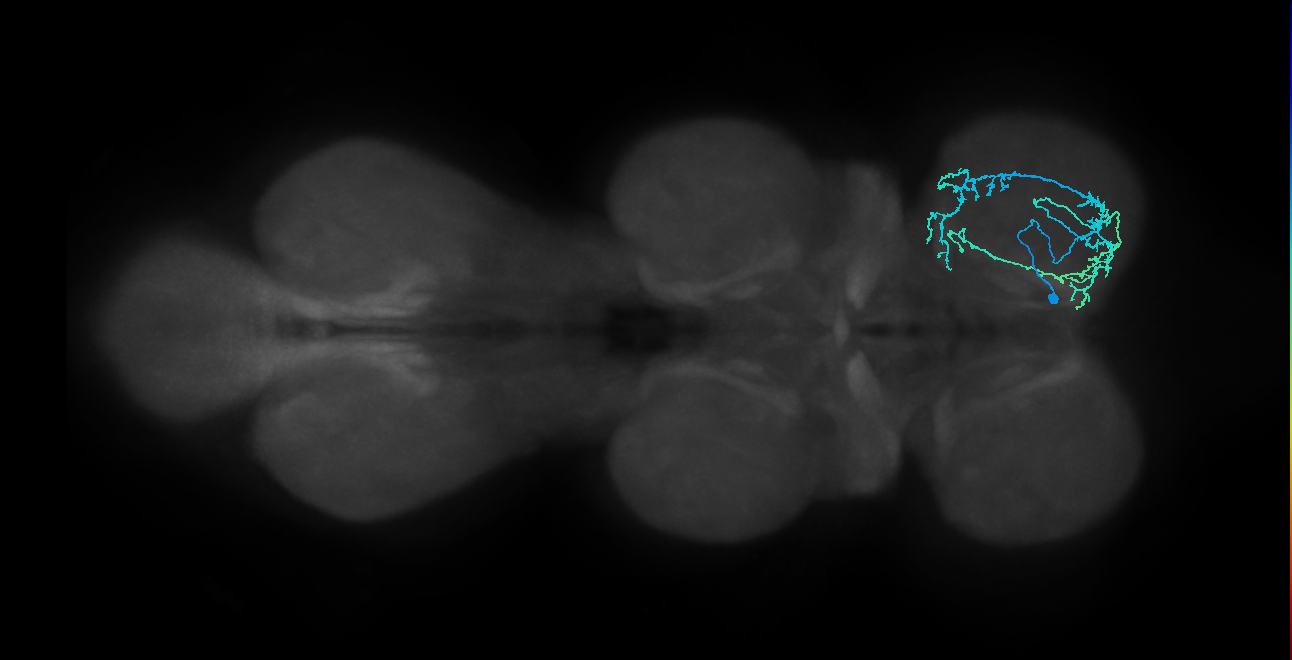 IN01B006_T1_R (MANC:46351)