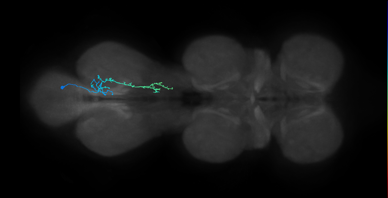 IN01B010_T3_R (MANC:52476)