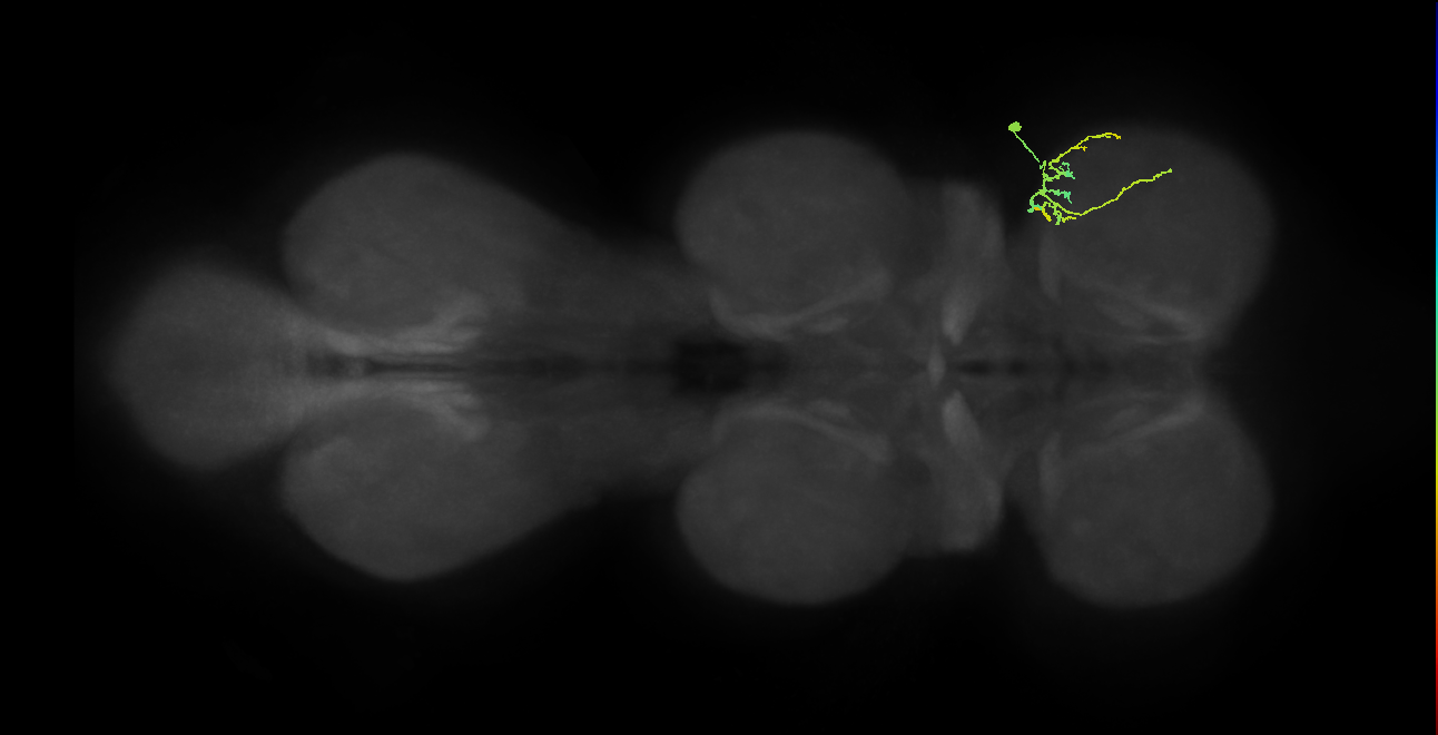 IN21A045_T1_R (MANC:55676)