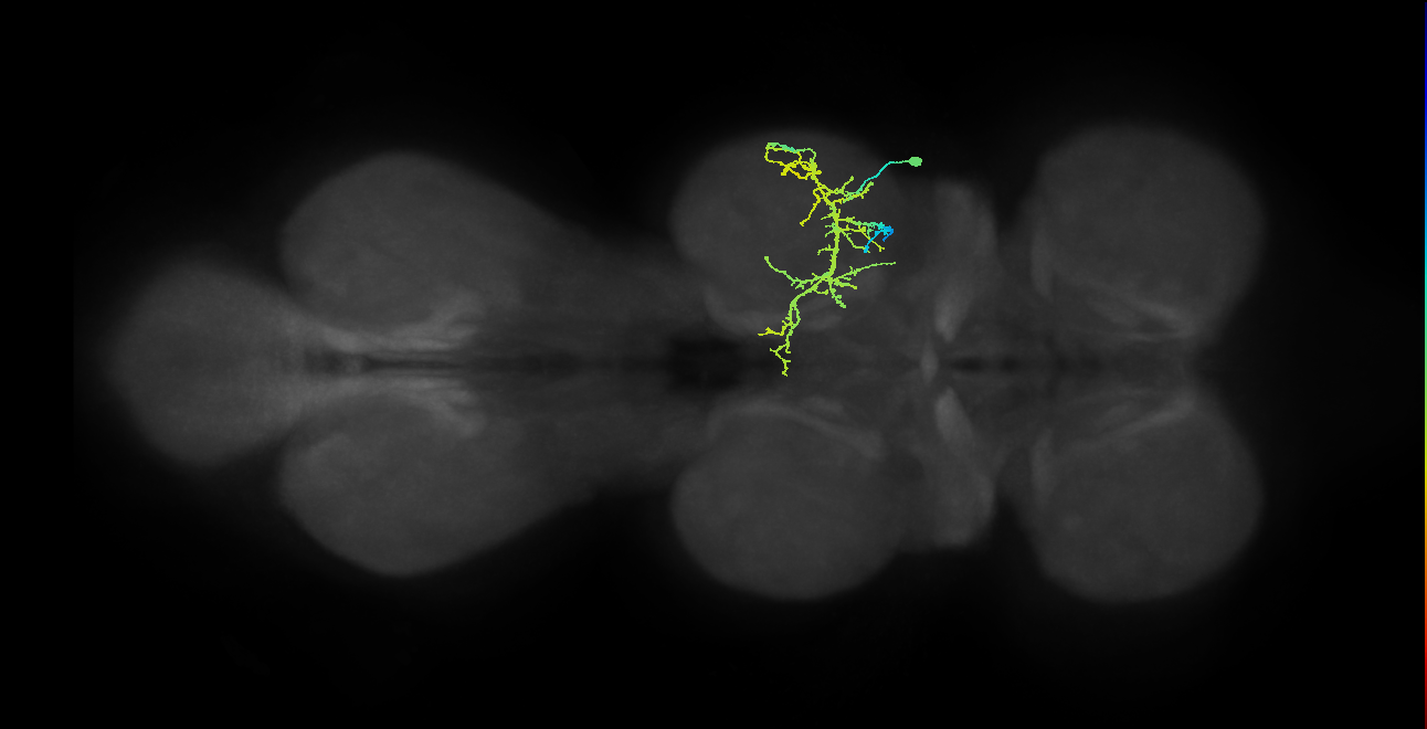 IN08A027_T2_R (MANC:58055)