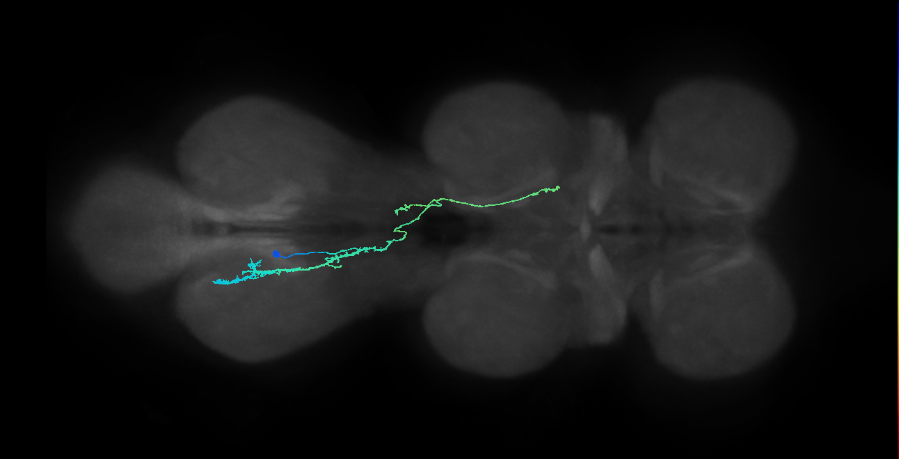 IN10B011_T3_L (MANC:100456)