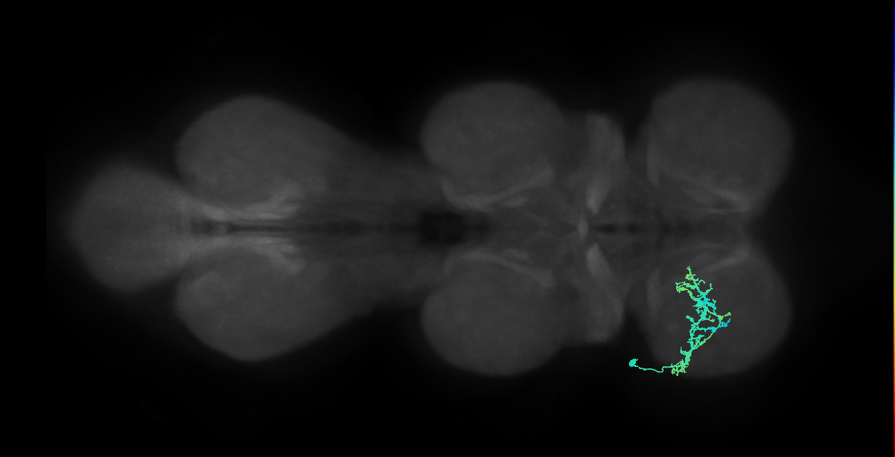 IN20A.22A025_T1_L (MANC:100586)