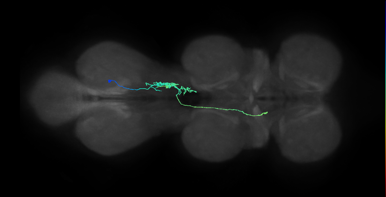 IN10B016_T3_R (MANC:100697)