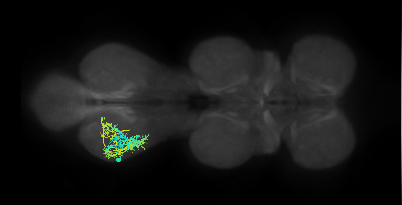 IN08A014_T3_L (MANC:100897)