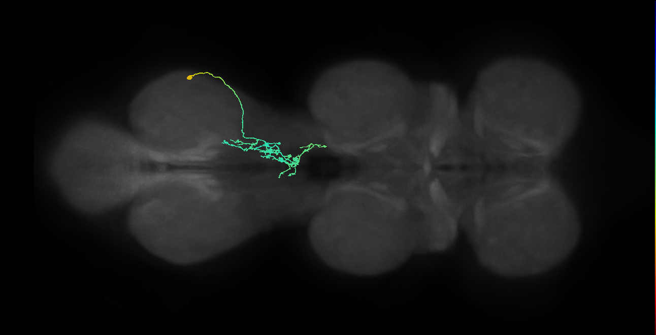 IN09A034_T3_R (MANC:100924)