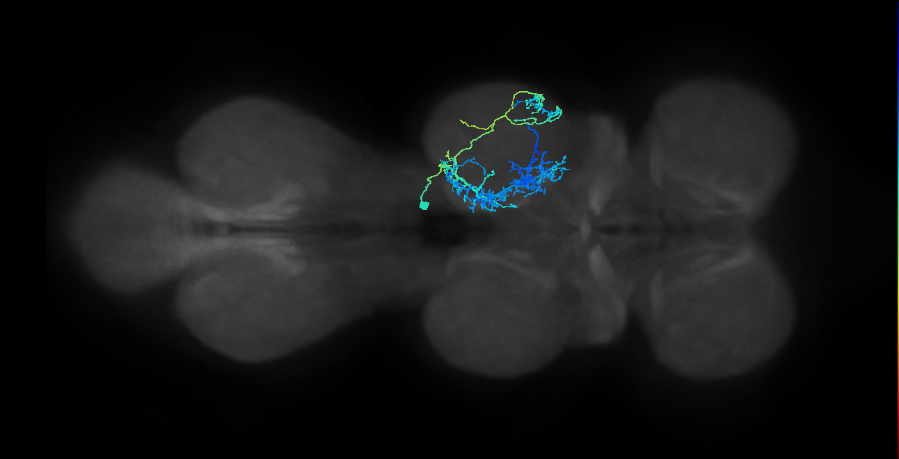 IN03A001_T2_R (MANC:101304)