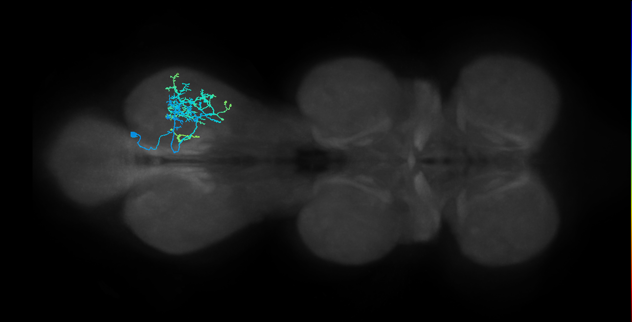 IN01B009_T3_R (MANC:101670)