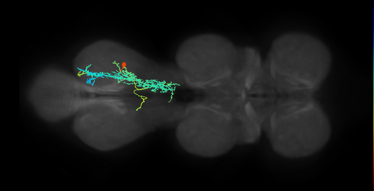 IN23B008_T3_R (MANC:102344)