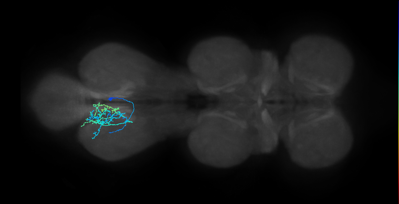 IN14A001_T3_R (MANC:102556)