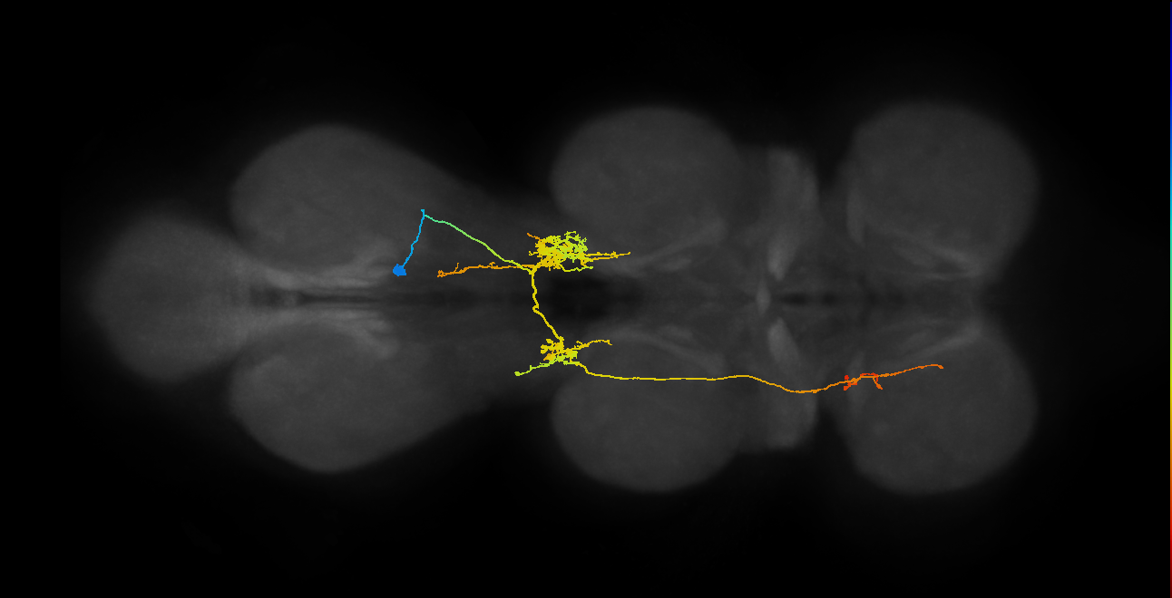 IN07B059_T3_R (MANC:102745)
