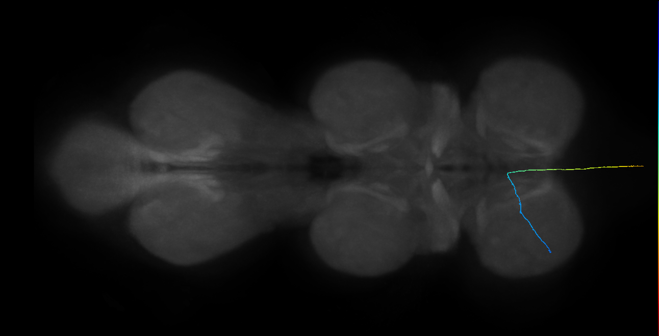 SAch09_ProLN_L (MANC:151705)