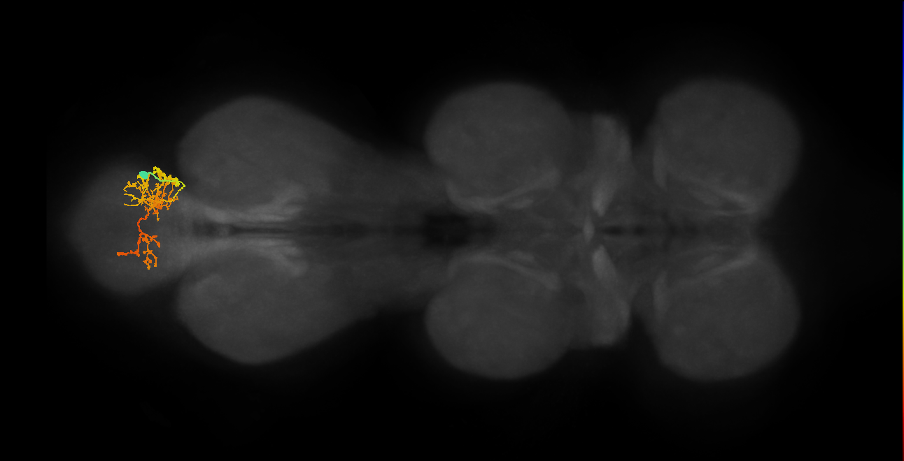 IN06A080_A5_R (MANC:152510)