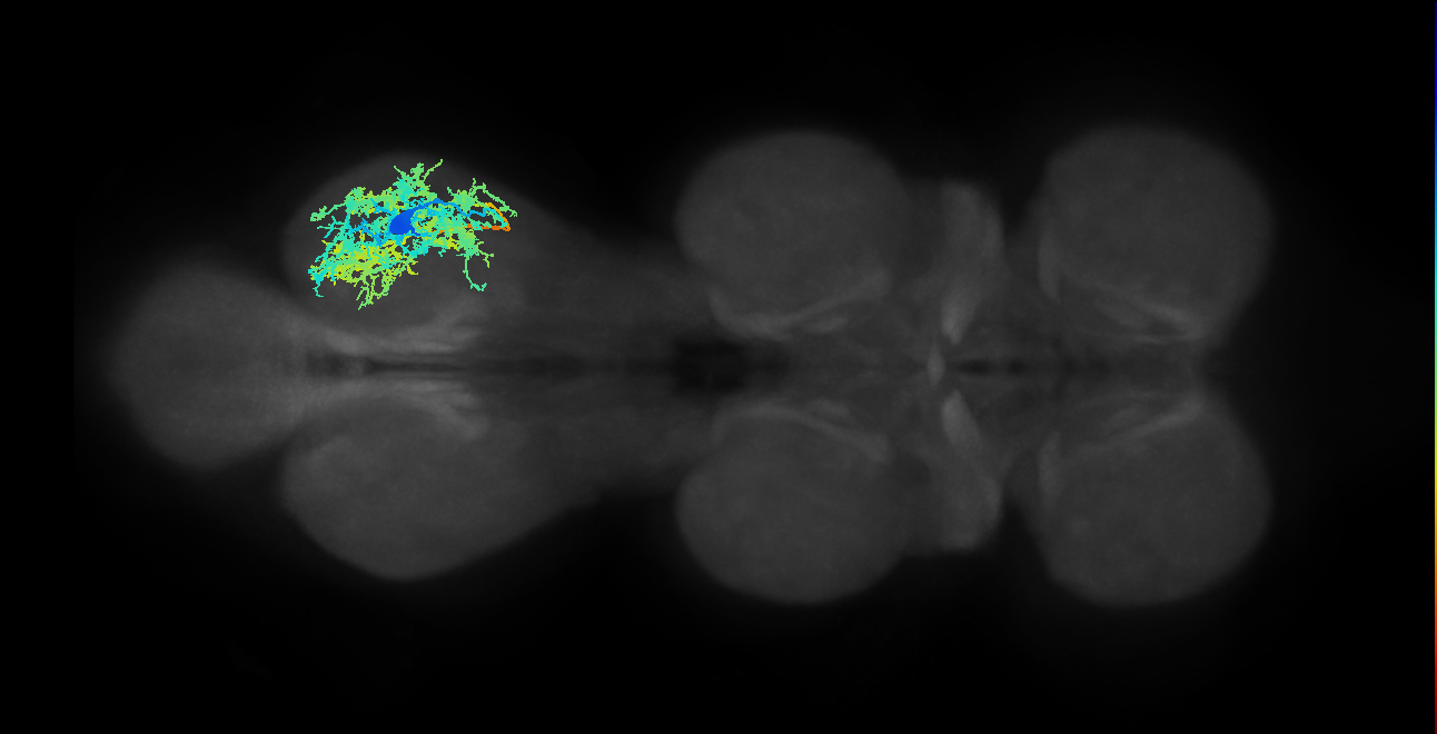 IN15A001_T3_R (MANC:152696)