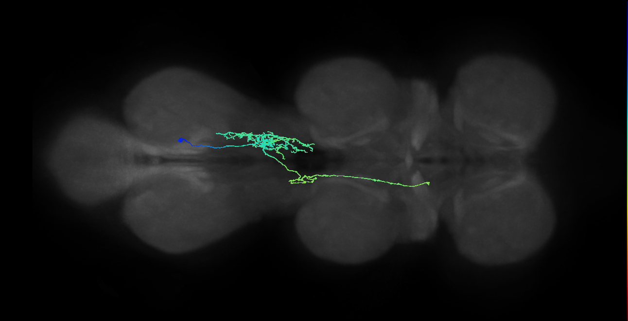 IN10B017_T3_R (MANC:153059)