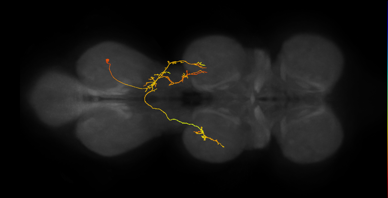 IN07B073_A1_R (MANC:153199)