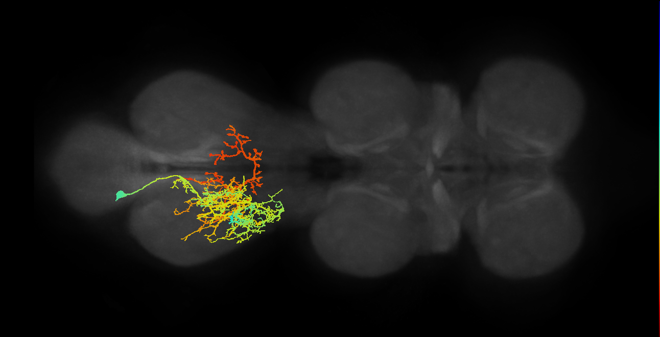 IN03A001_T3_L (MANC:153474)