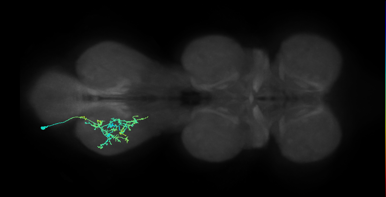 IN20A.22A012_T3_L (MANC:153521)