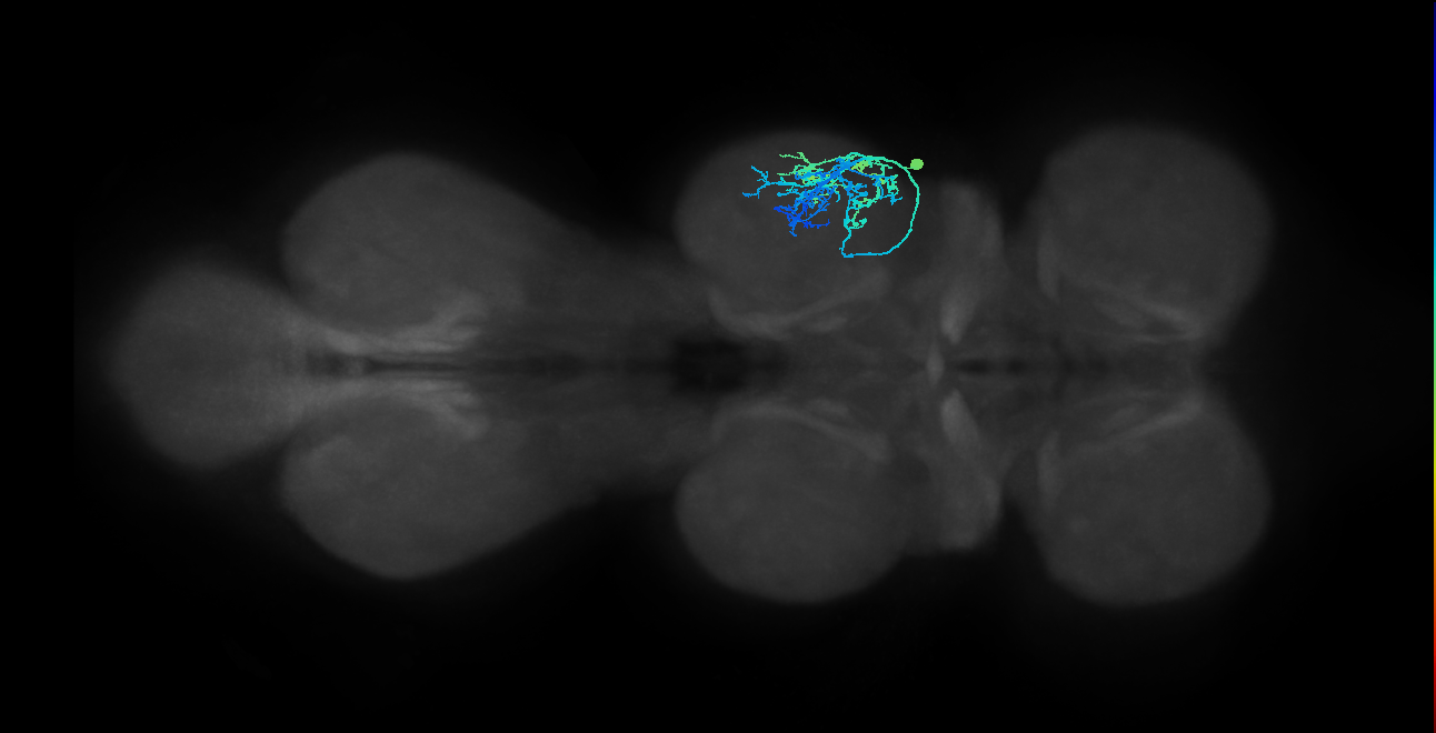 IN09A030_T2_R (MANC:154084)