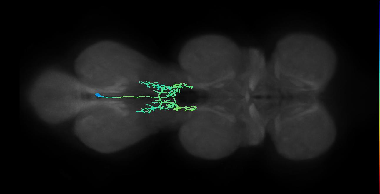 IN00A023_T3_M (MANC:154092)