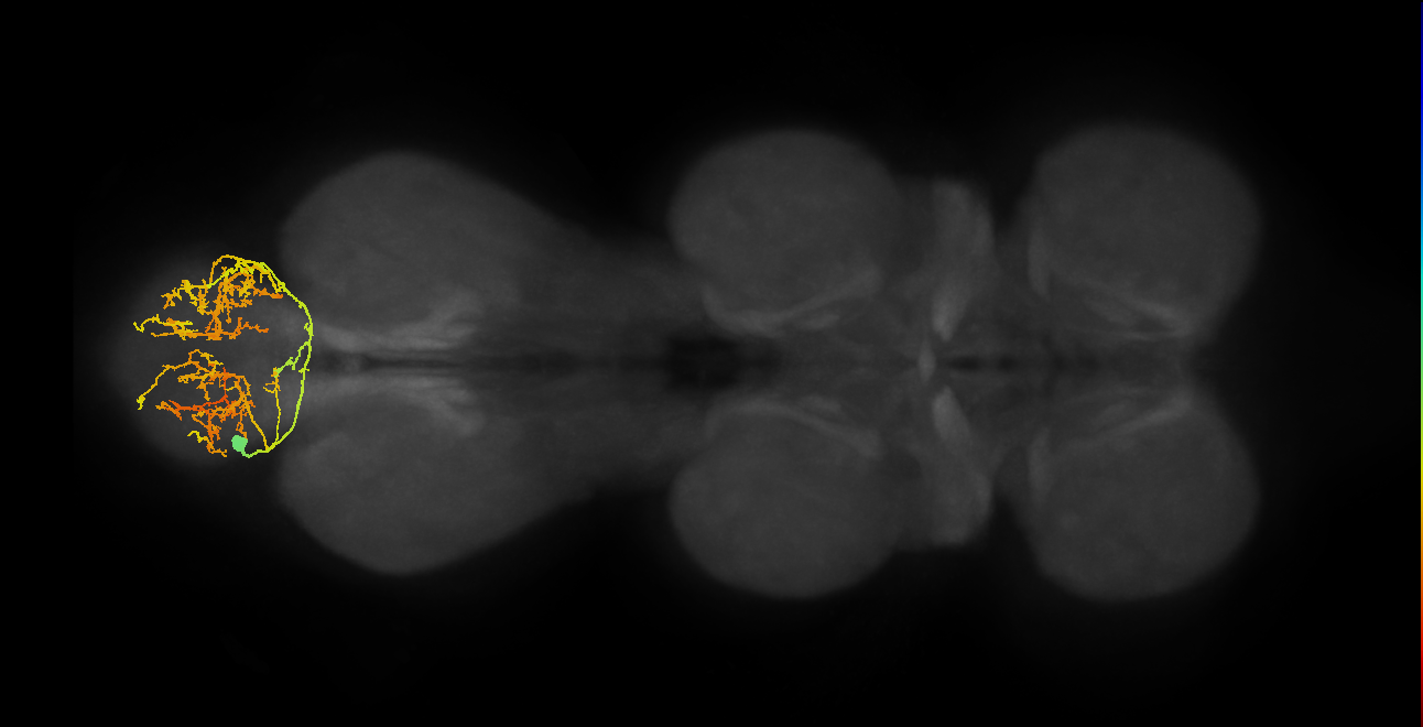 IN14A001_A5_L (MANC:154097)