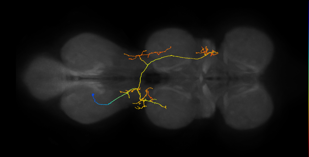 IN07B071_T3_L (MANC:154219)