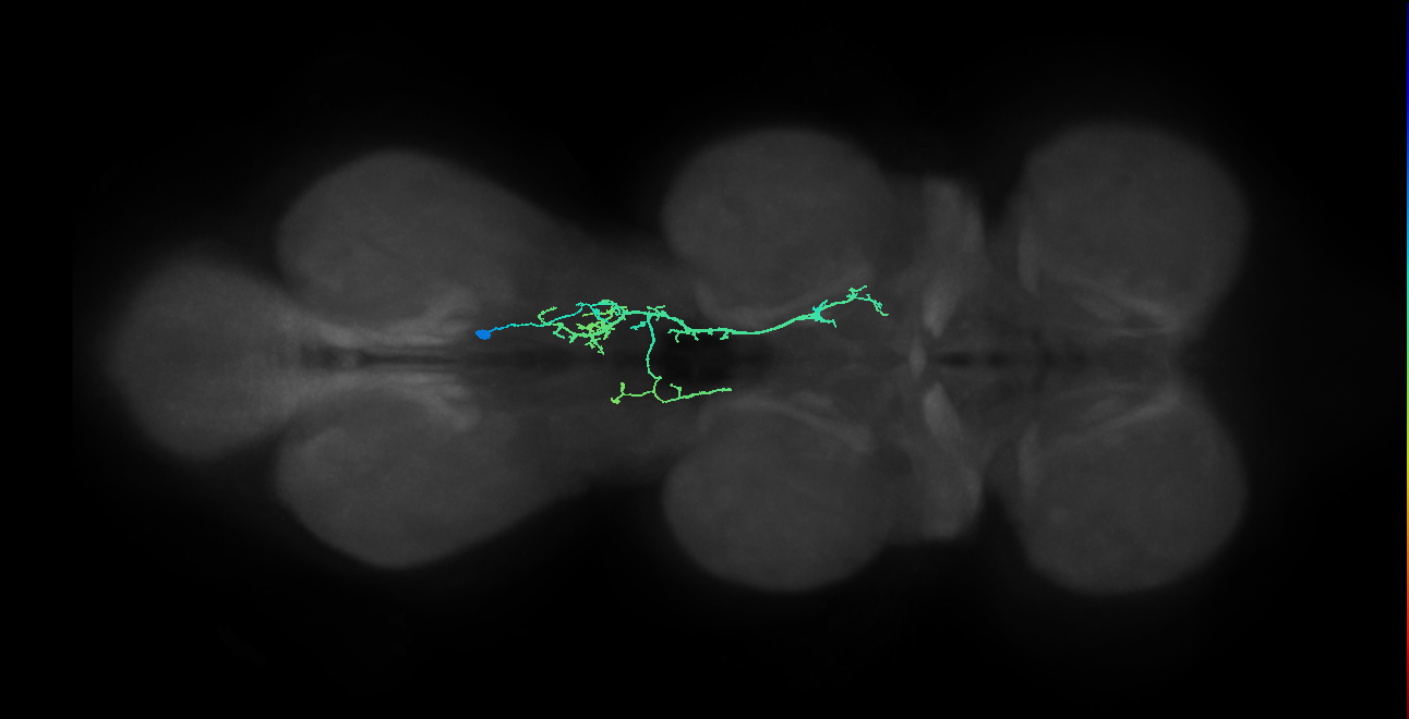 IN10B016_T3_R (MANC:154577)