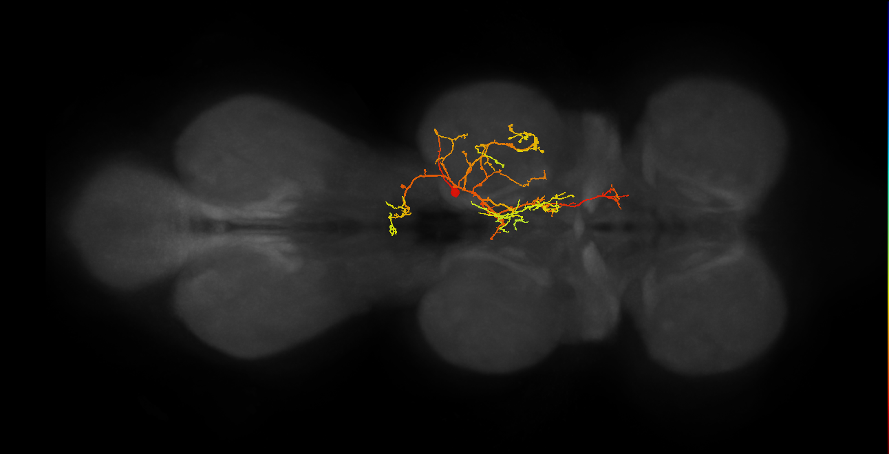 IN11B021_T2_R (MANC:154670)