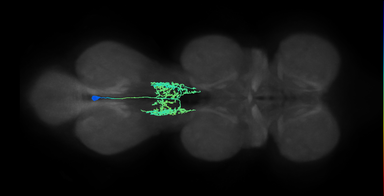 IN00A016_T3_M (MANC:154869)