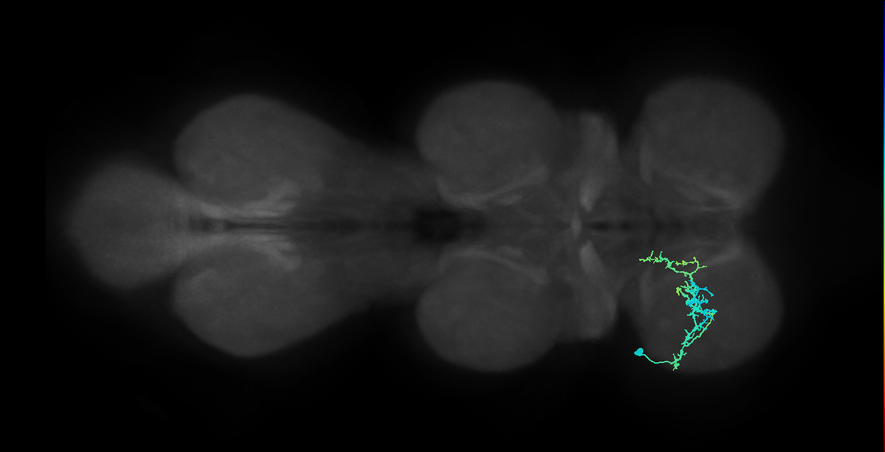 IN20A.22A025_T1_L (MANC:155069)