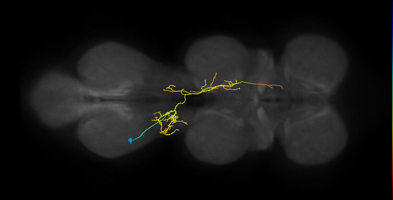 IN08B128_T3_L (MANC:155077)