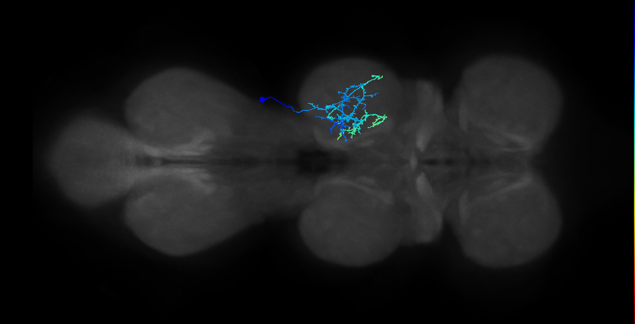IN20A.22A016_T2_R (MANC:156107)