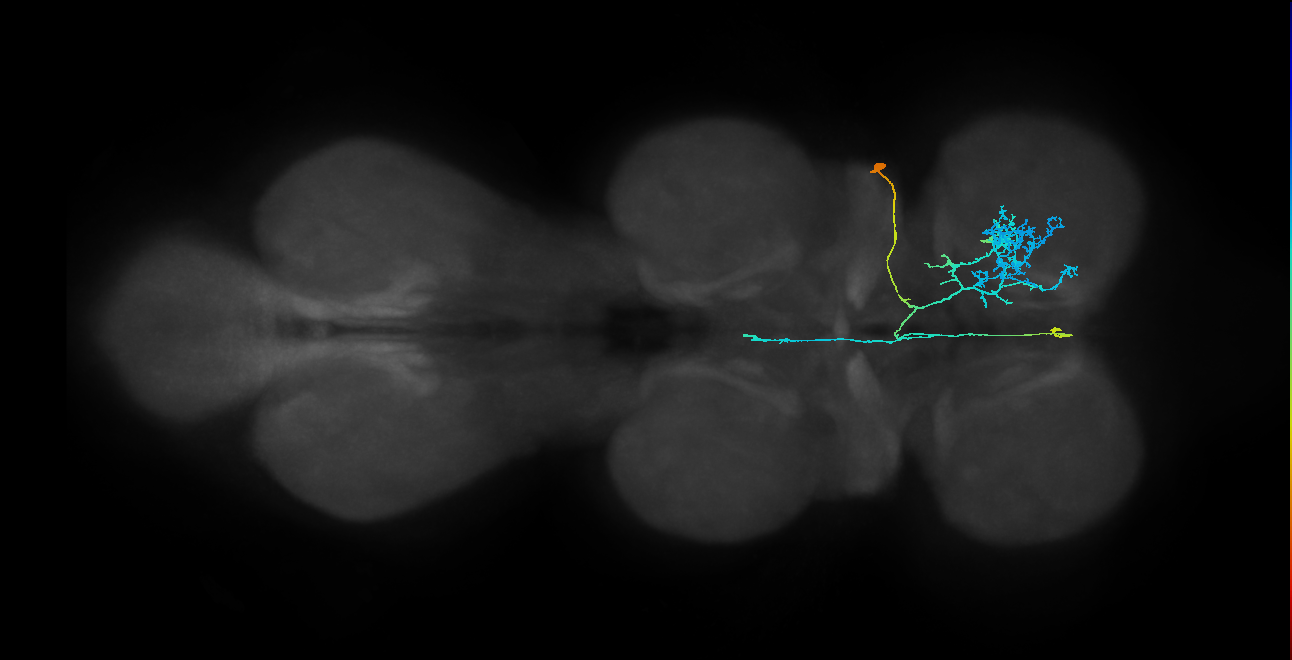 IN23B027_T1_R (MANC:156161)