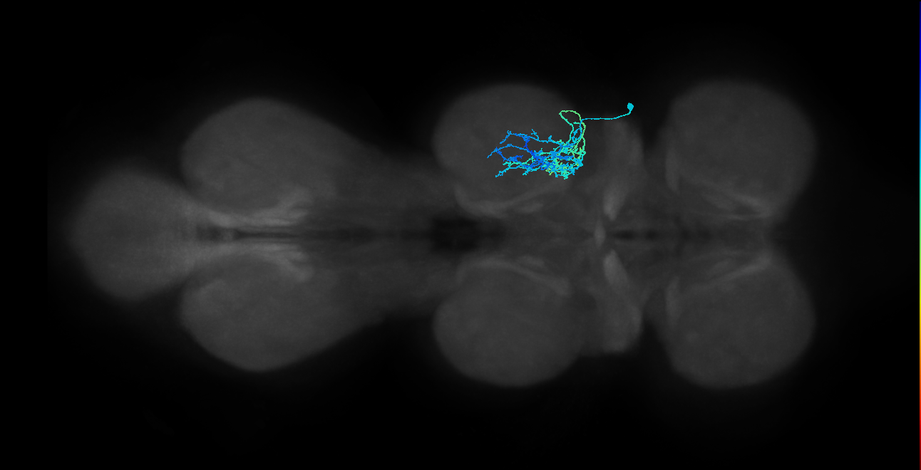 IN16B023_T2_R (MANC:156236)