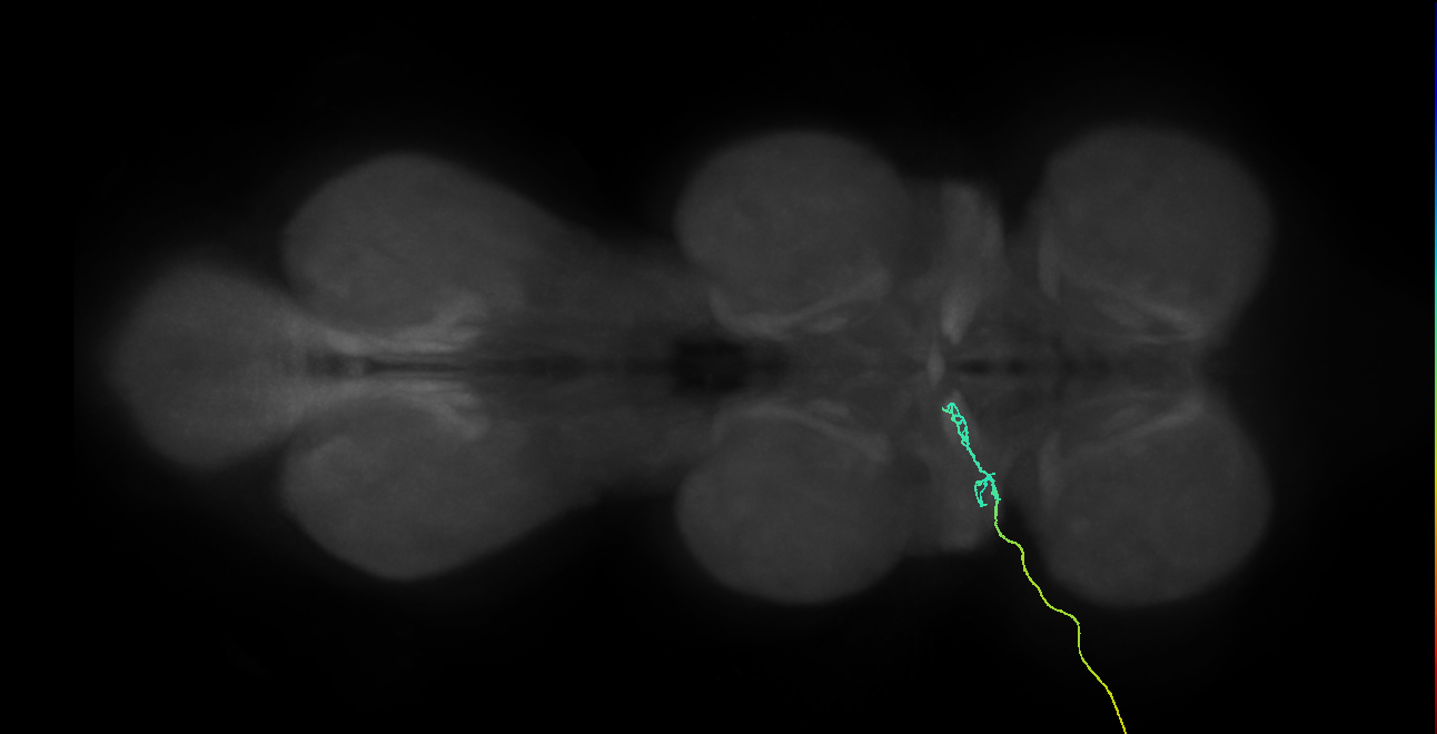 SNch03_ADMN_L (MANC:156412)