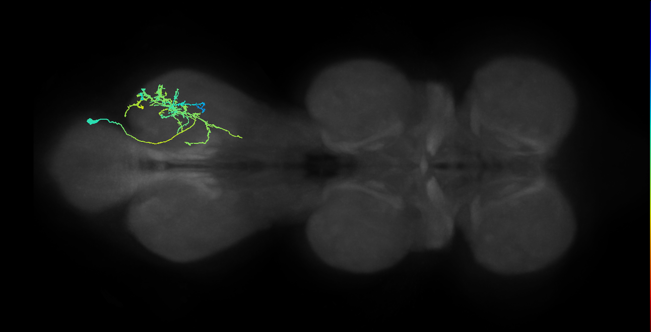 IN21A032_T3_R (MANC:157151)