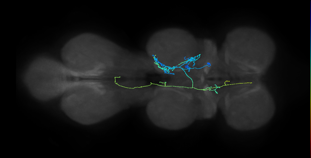 IN10B012_T2_R (MANC:157178)