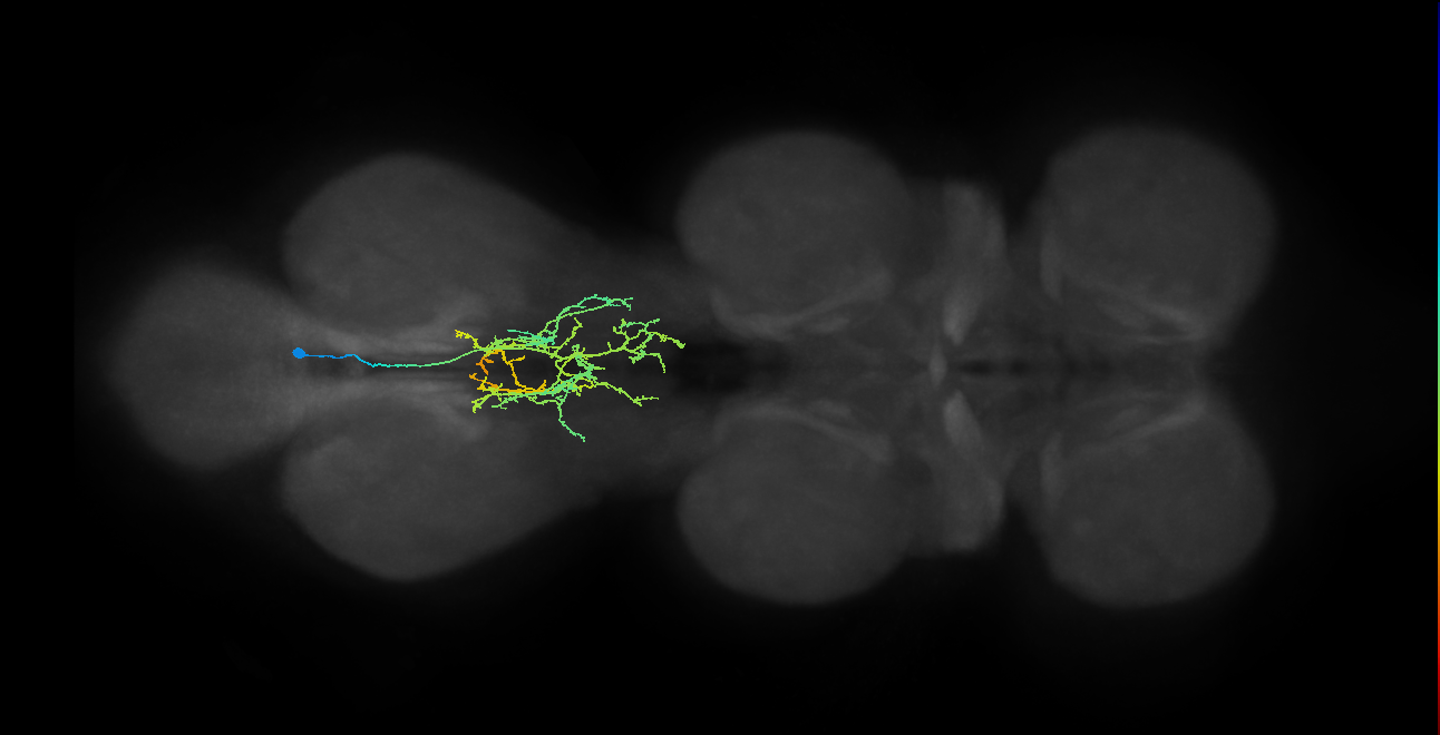 IN05B027_T3_R (MANC:157467)