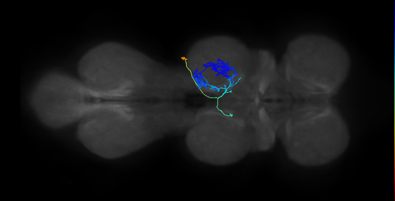 IN23B015_T2_R (MANC:157505)