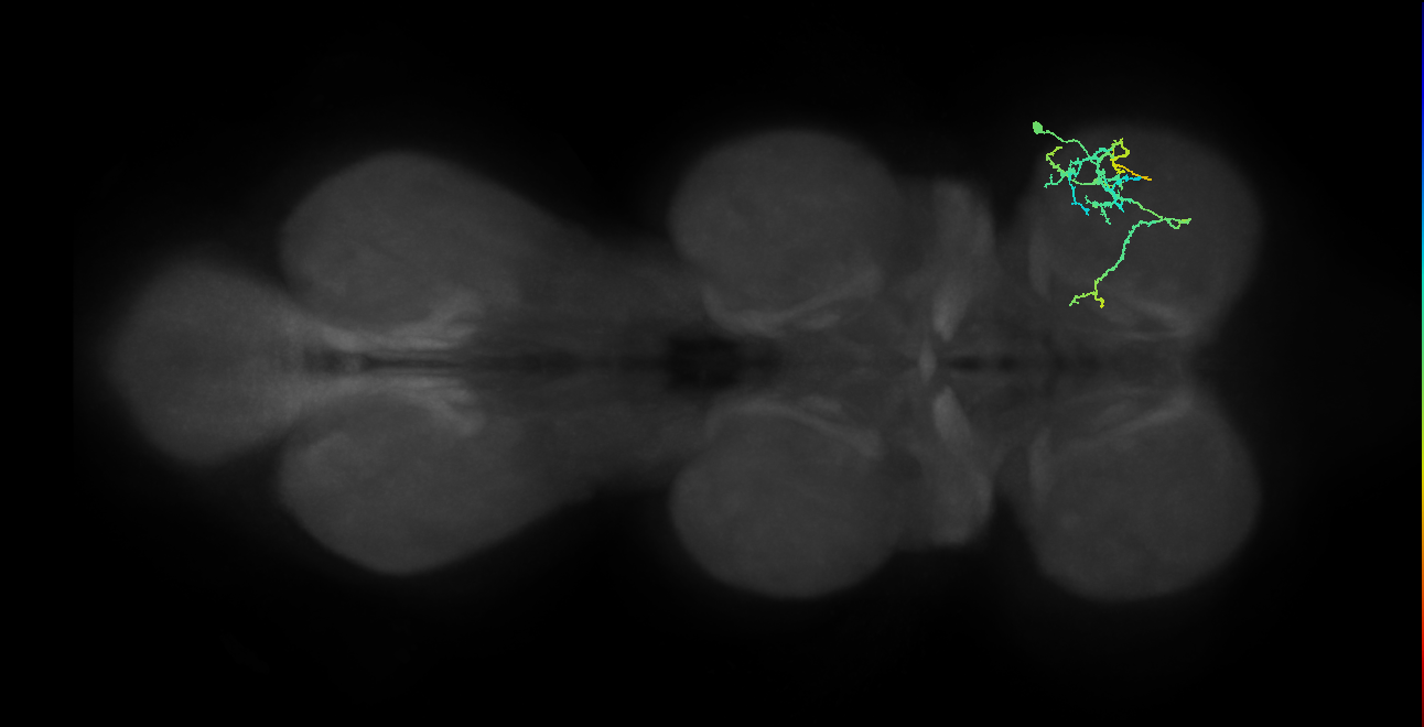 IN20A.22A022_T1_R (MANC:157839)