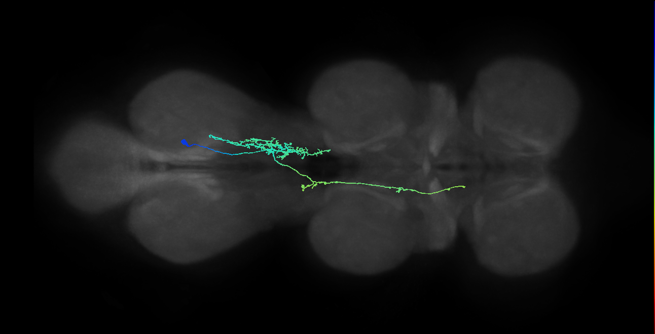 IN10B017_T3_R (MANC:158022)