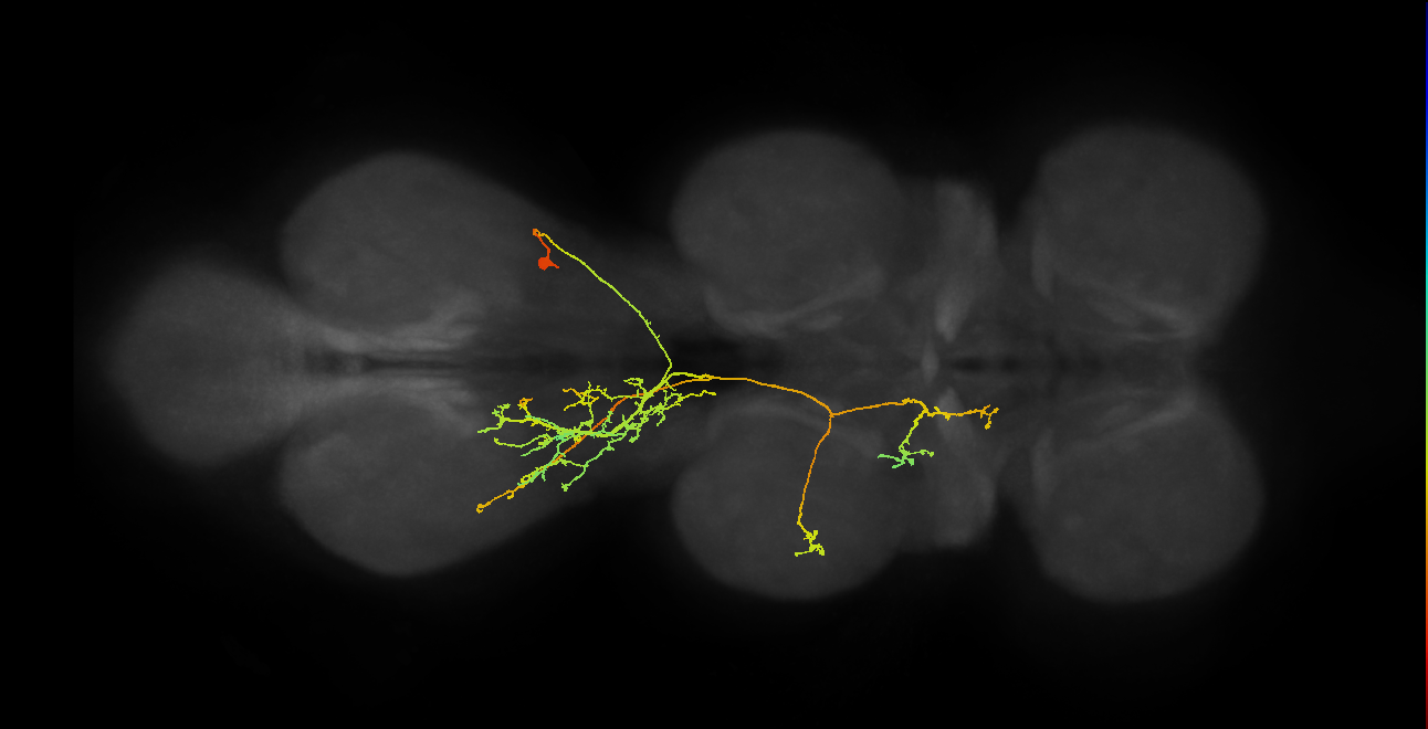 IN18B026_T3_R (MANC:159125)