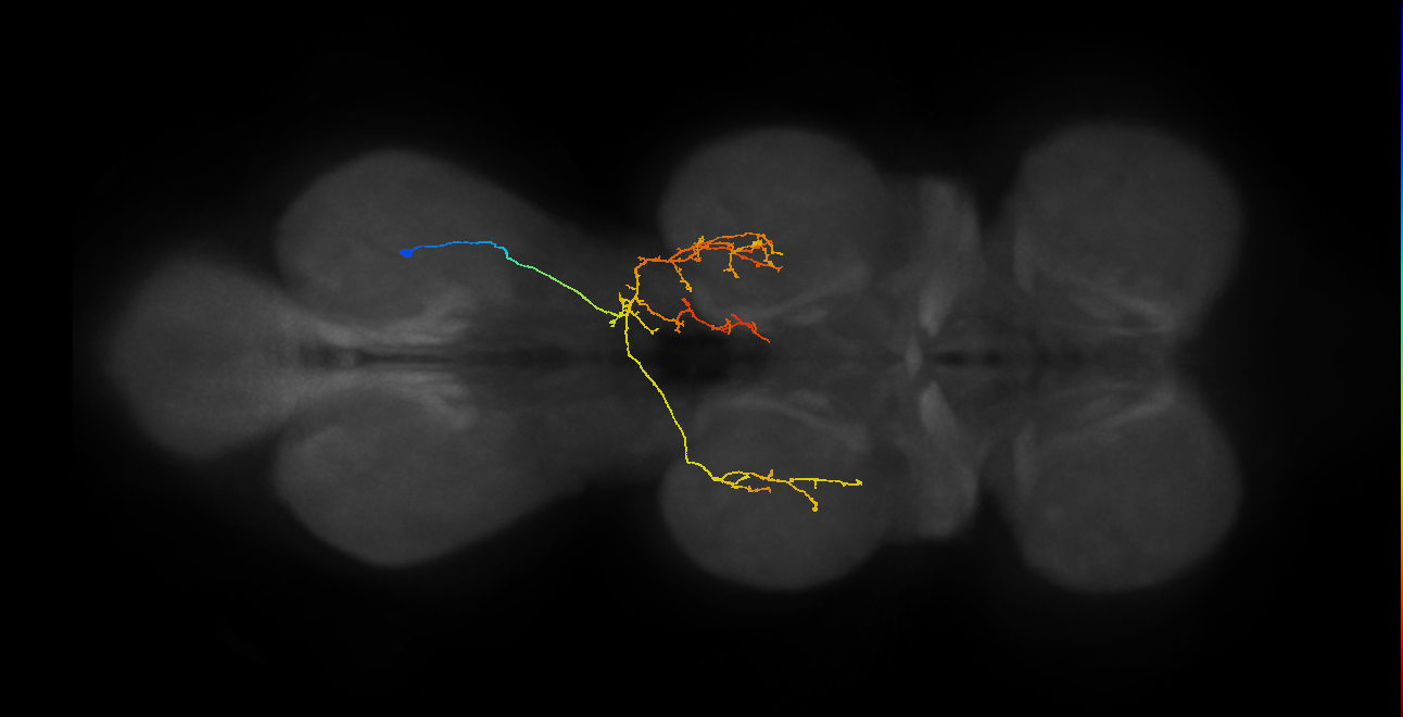IN07B085_T3_R (MANC:159247)
