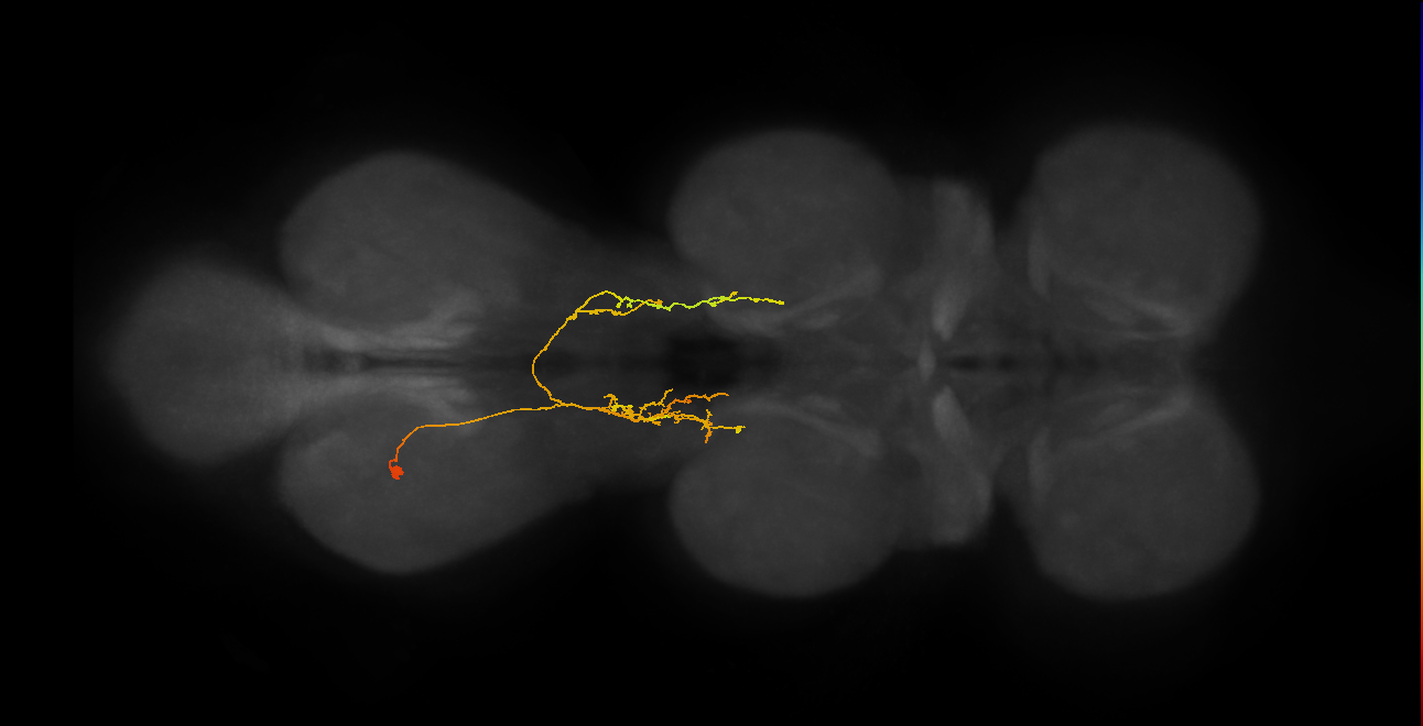 IN07B086_A1_L (MANC:159471)