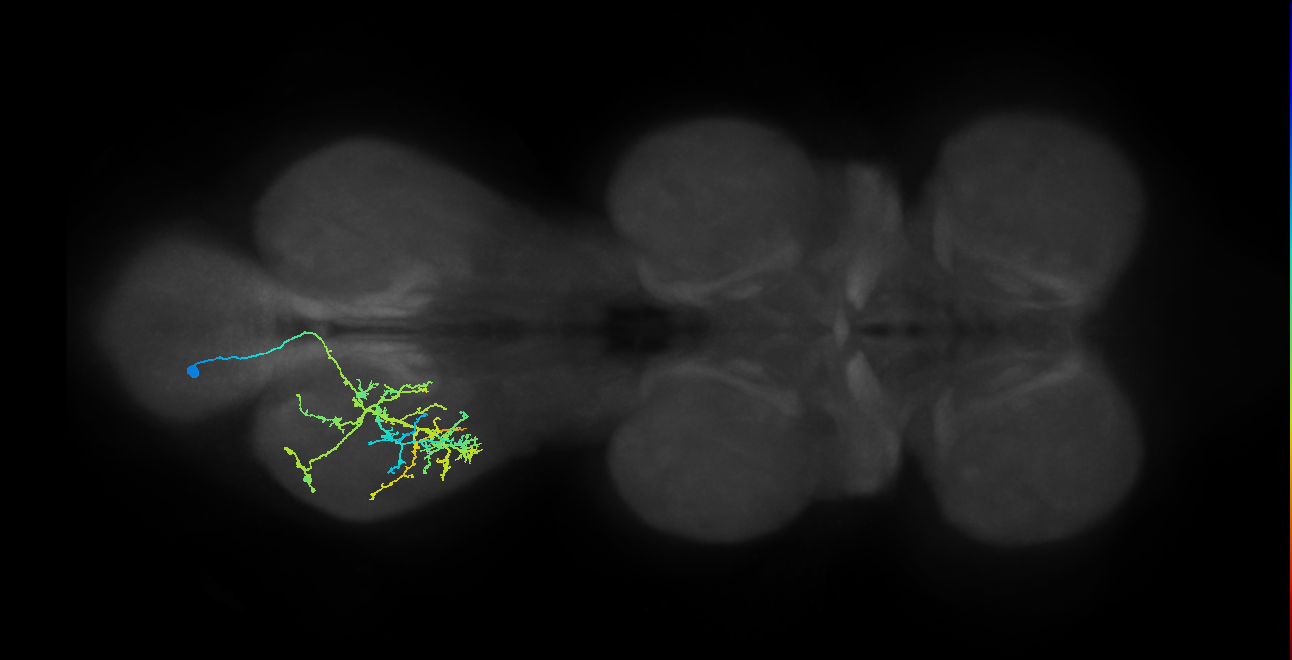 IN04B045_T3_L (MANC:159685)