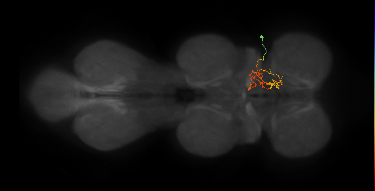 IN03B081_T1_R (MANC:160299)