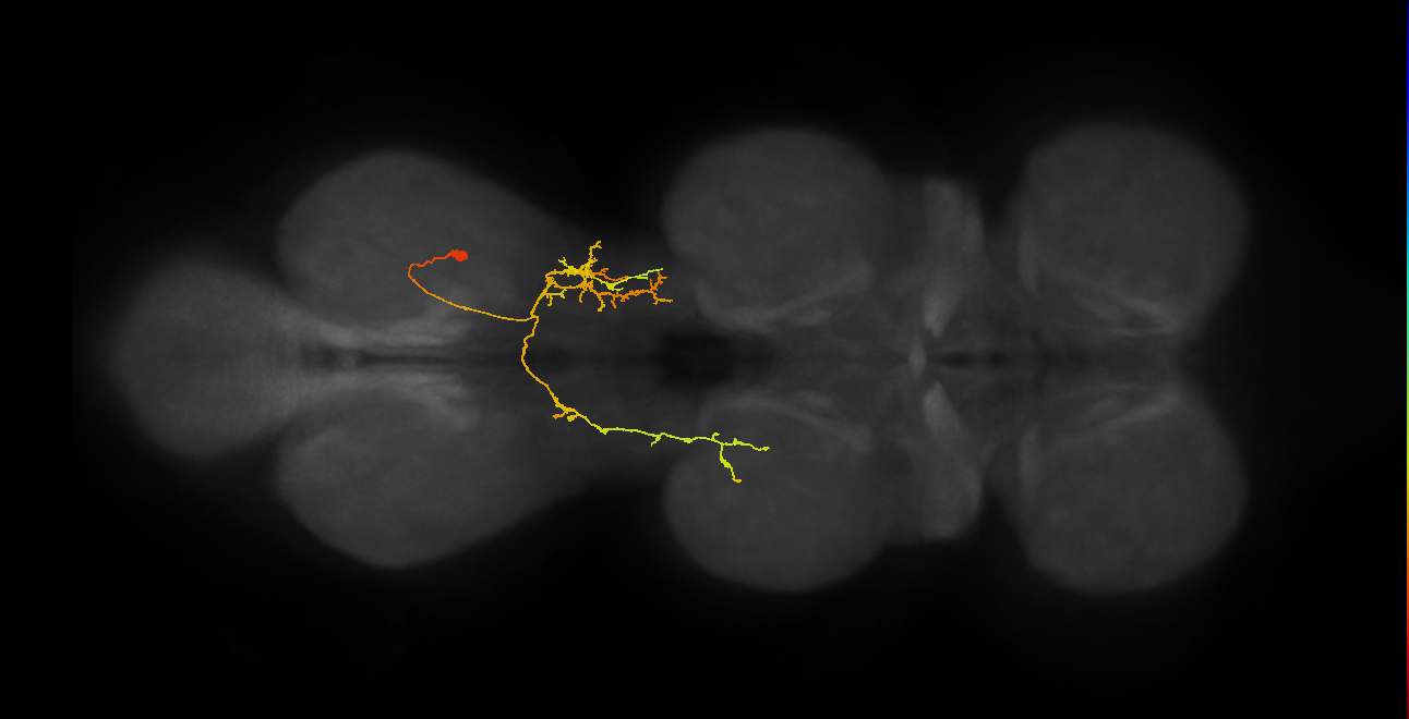 IN07B082_A1_R (MANC:162387)