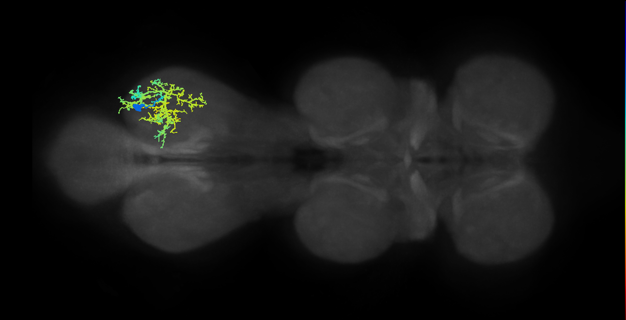 IN13A023_T3_R (MANC:162649)